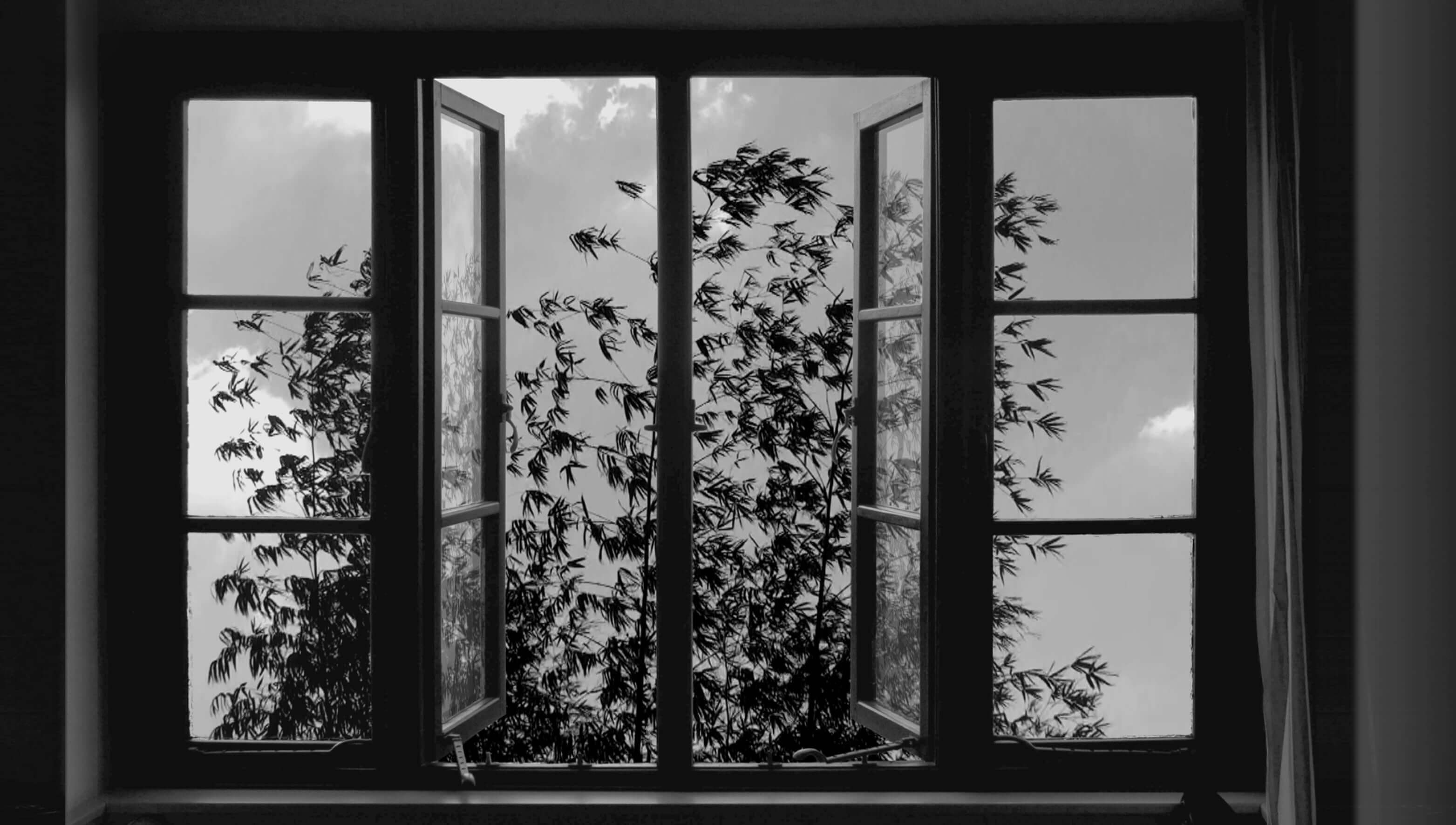 24frames_kiarostami_photo4.jpg